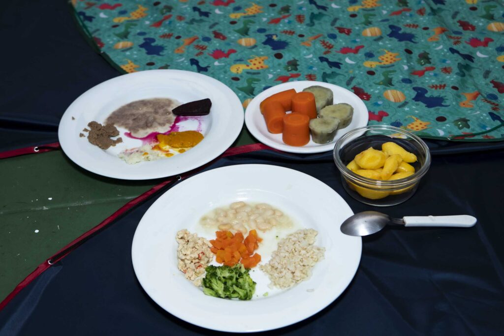 Pratos de introdução alimentar com legumes, arroz, feijão e frutas em cortes seguros para bebês