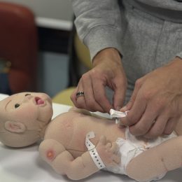 Vivência Ninho Gaia - Clínica Mamma Gaia